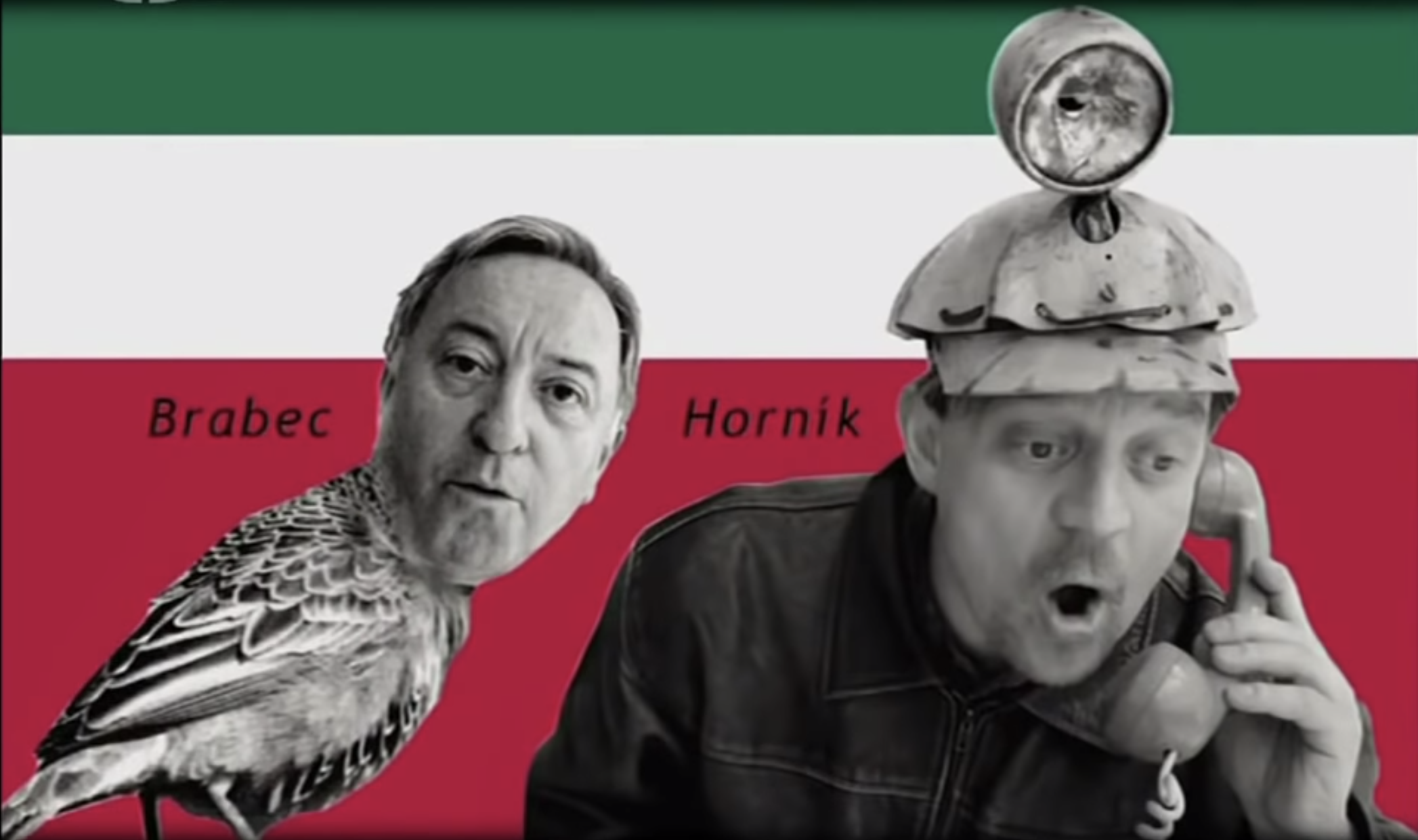 Článek náhled