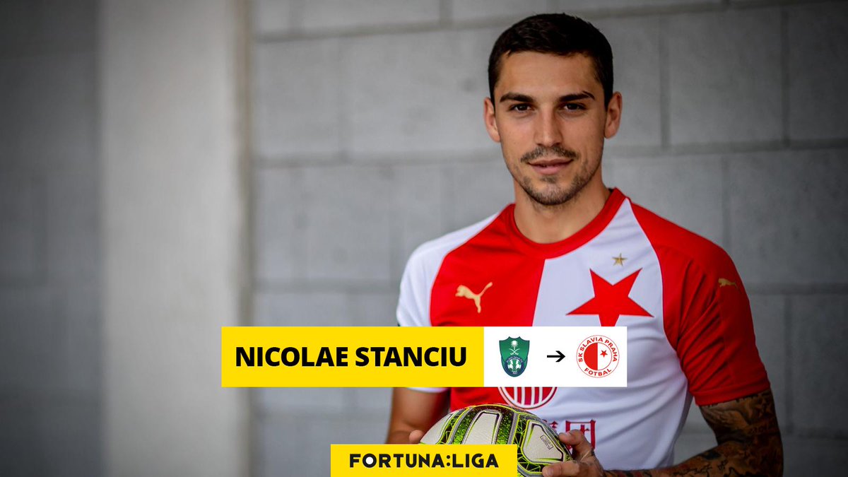 Článek náhled